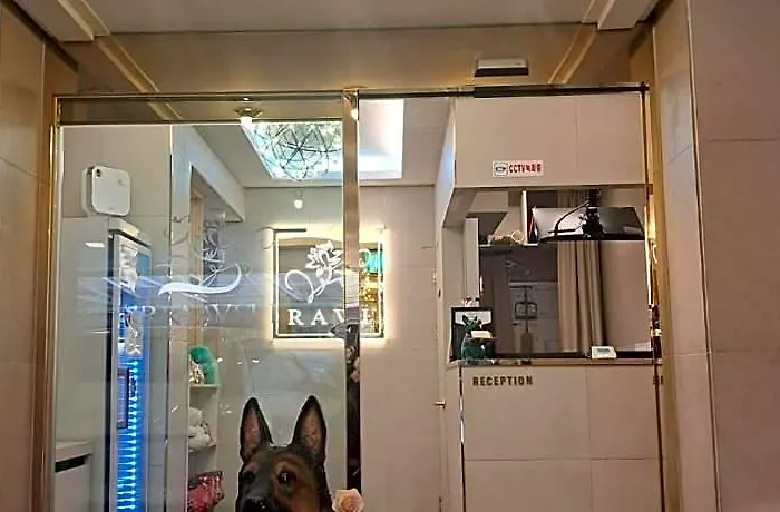 Jamsil Ravi Hotel Seul